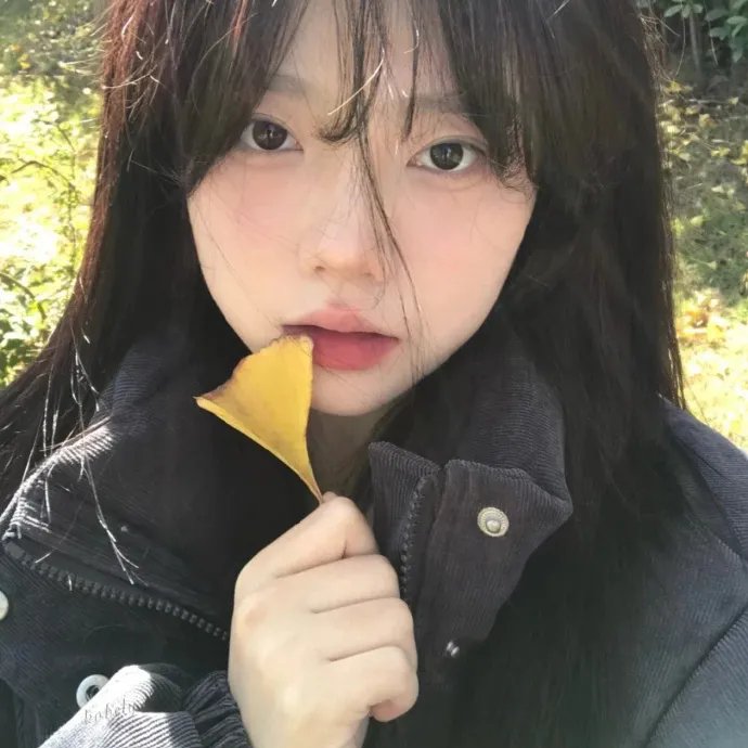 樱花开了