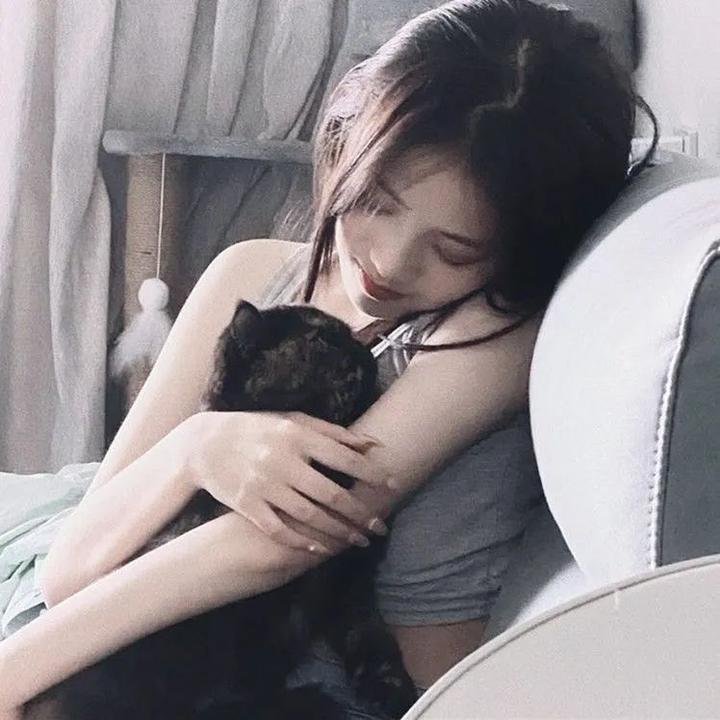 营救野猪队